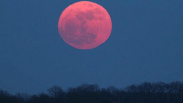 Pink Moon: How And When to Spot it This Easter Weekend – NBC Chicago