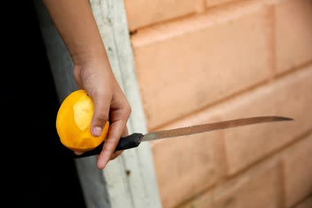 Juany Iznaga holds a mango and a knife as she eats the fruit at her house in La Fria, Venezuela, June 2, 2016. REUTERS/Carlos Garcia Rawlins