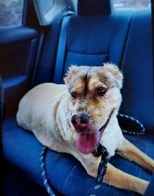 Thomas smiling in the backseat of a car