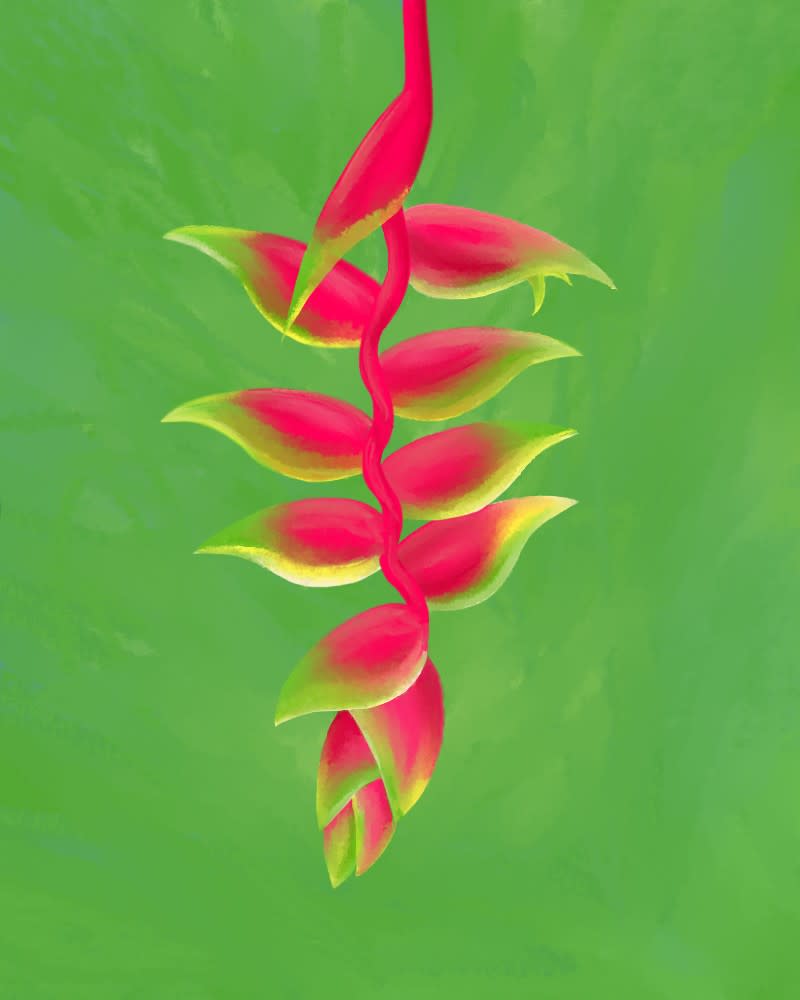 Digital painting of a heliconia plant.