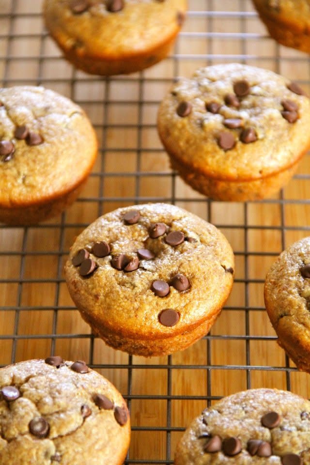 <strong>Get the <a href="http://www.runningwithspoons.com/2014/01/21/flourless-chocolate-chip-almond-butter-muffins/" target="_blank">Flourless Chocolate Chip Almond Butter Muffins recipe</a> from Running With Spoons</strong>