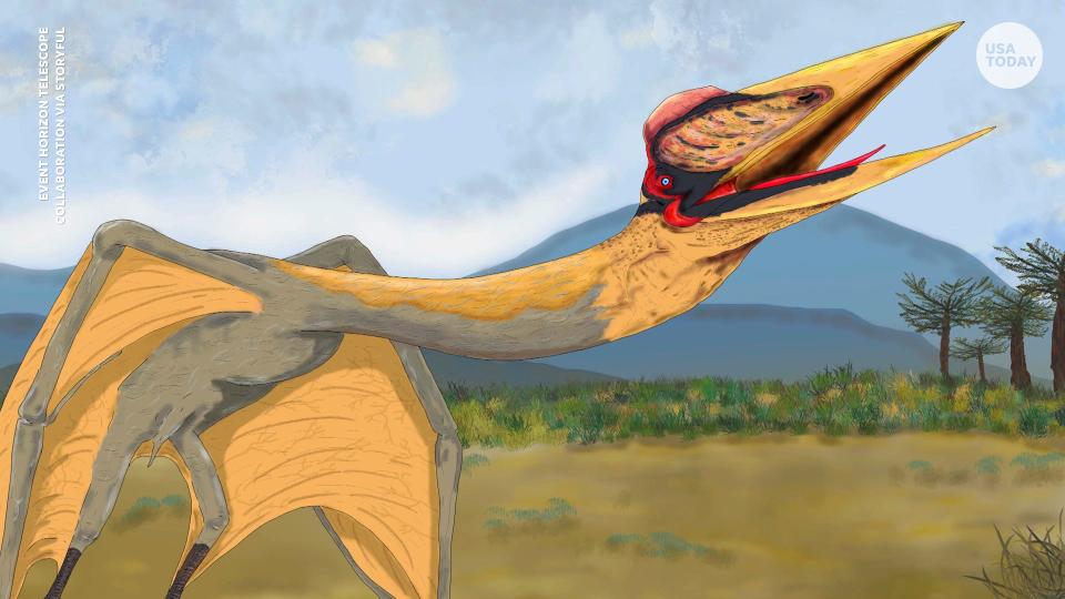 Scientists in Argentina discovered a new species of flying reptiles as long as a school bus known as "The Dragon of Death." A study published online in April 2022 detailed the findings in the scientific journal Cretaceous Research.