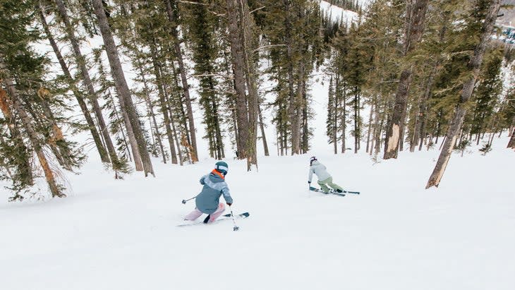 Skiers testing backcountry skis in the glades