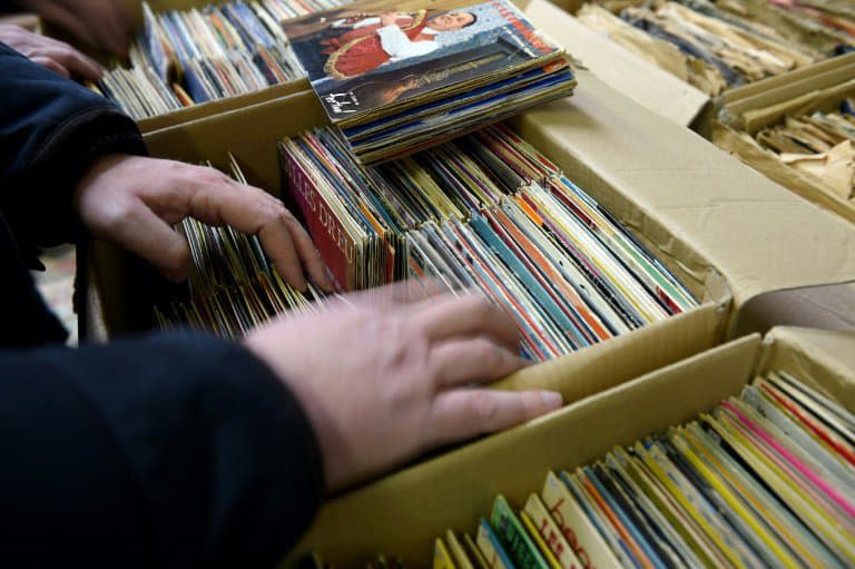 Les disquaires voudraient créer une plateforme comme Place des libraires.  - GUILLAUME SOUVANT © 2019 AFP