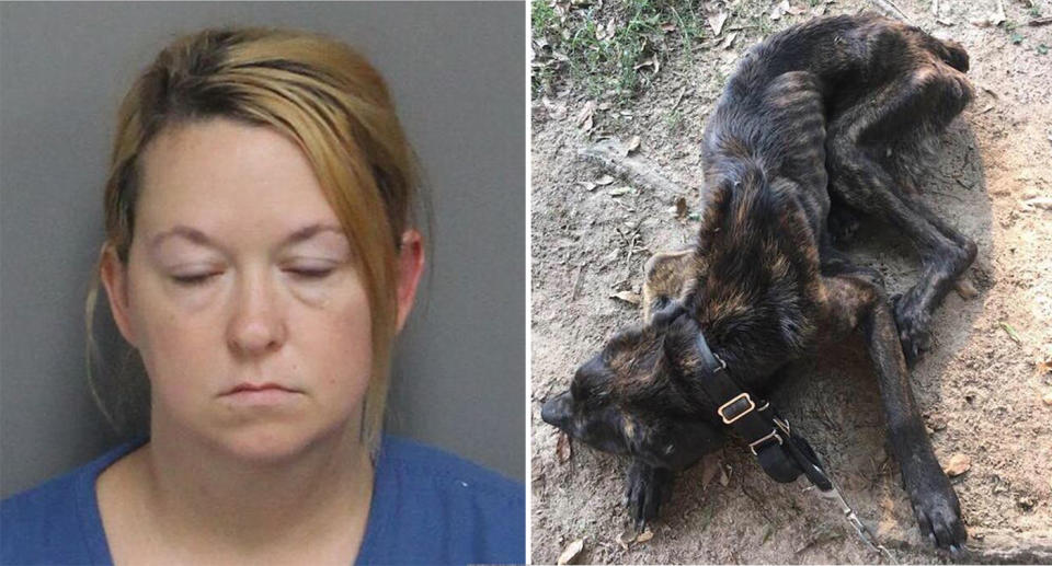 <span>Elizabeth Lena James</span> has been charged, accused of intentionally starving her ex-boyfriend’s dog. Source: Justice for Champ / Facebook