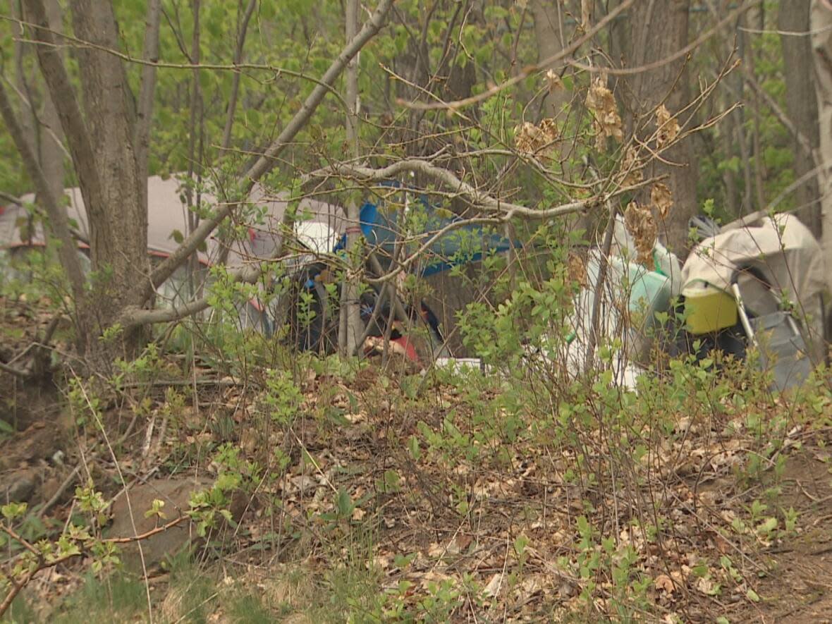 The Affordable Housing Association of Nova Scotia says there were 943 people in the Halifax Regional Municipality who were homeless at the end of May. (Paul Poirier/CBC - image credit)