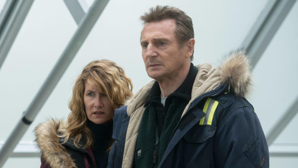 Laura Dern and Liam Neeson in the 2019 thriller Cold Pursuit. (Summit/Alamy)