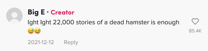 A comment saying that 22,000 stories of a dead hamster are enough