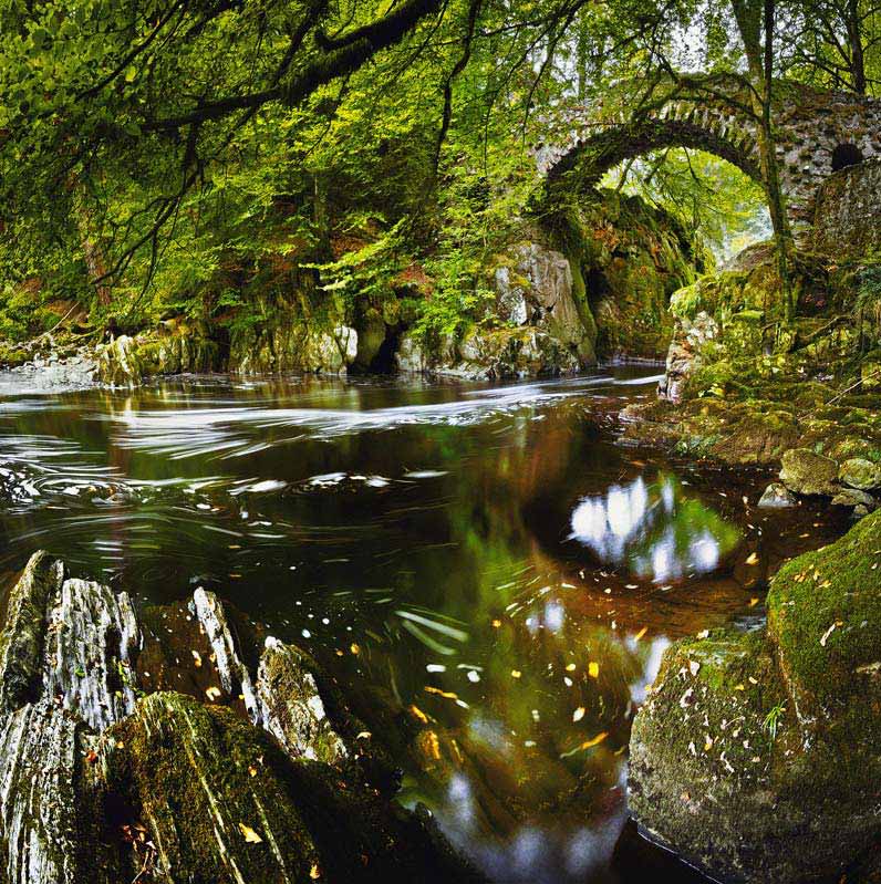 Damian Shields, Bridge over the River Braan, The Hermitage, Perthshire, Central Lowlands, Classic view, adult class - commended.