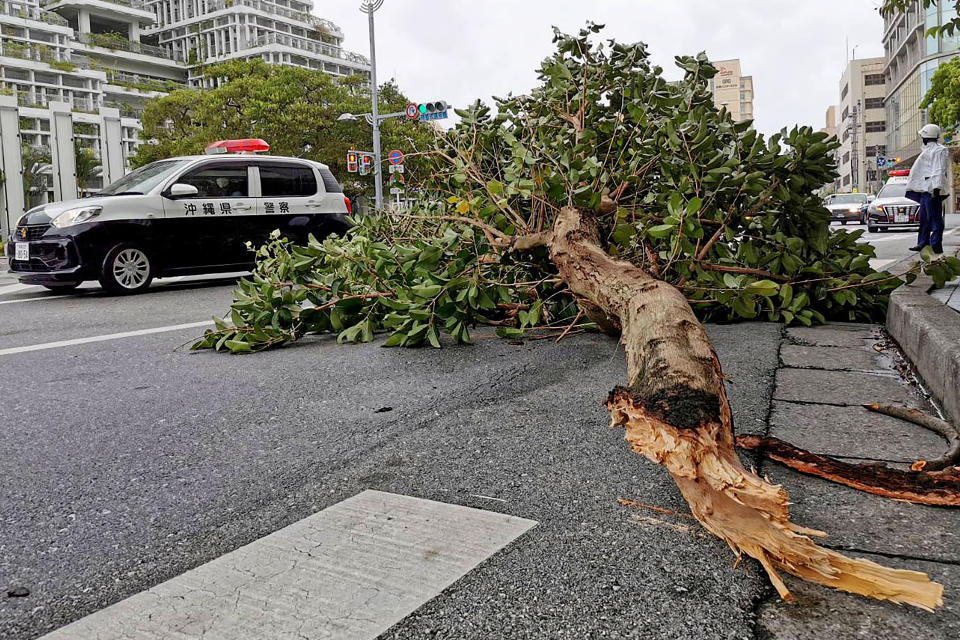 A tree is broken by strong winds as Typhoon Hinnamnor hits Naha, Okinawa prefecture, Japan Sunday, Sept. 4, 2022. (Kyodo News via AP)
