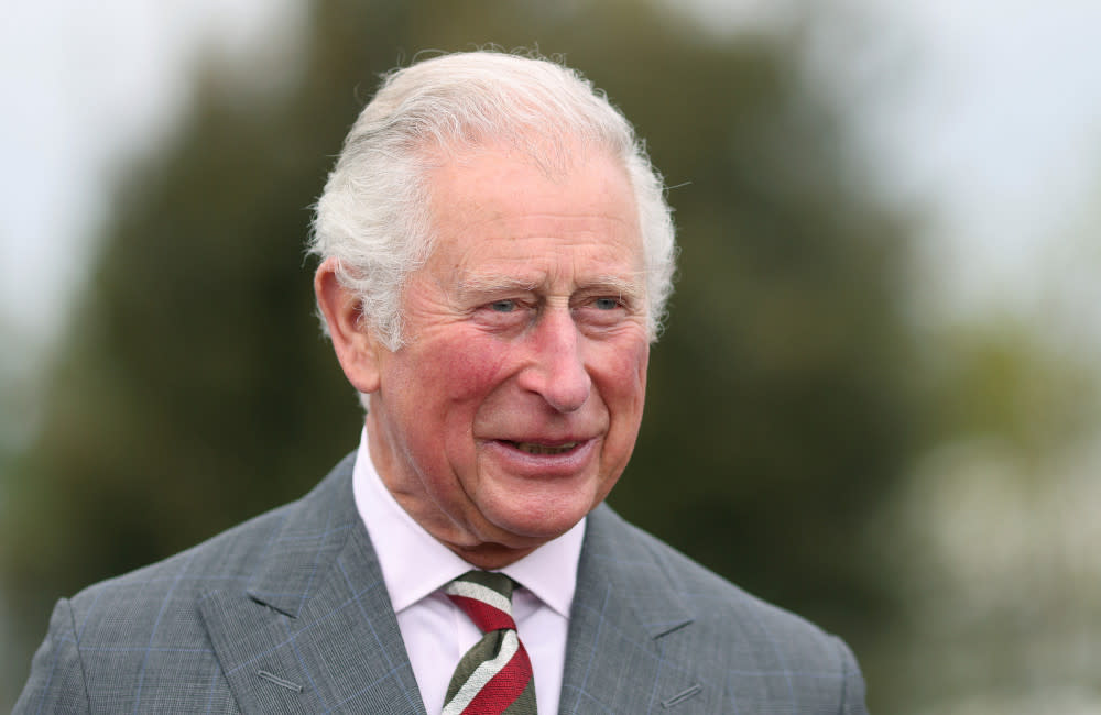 Prince Charles is bringing Holy water from the River Jordan back to the UK credit:Bang Showbiz