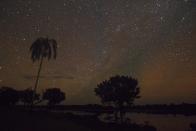 A night view of the Sao Raimundo do Jaraua community along the edge of a tributary of the Solimoes river, one of the main tributaries of the Amazon, where adults fish for arapaima or pirarucu, the largest freshwater fish species in South America and one of the largest in the world, in the Mamiraua nature reserve near Fonte Boa about 600 km (373 miles) west of Manaus, November 27, 2013. Catching the arapaima, a fish that is sought after for its meat and is considered by biologists to be a living fossil, is only allowed once a year by Brazil's environmental protection agency. The minimum size allowed for a fisherman to keep an arapaima is 1.5 meters (4.9 feet). Picture taken November 27, 2013. REUTERS/Bruno Kelly (BRAZIL - Tags: ANIMALS ENVIRONMENT SOCIETY) ATTENTION EDITORS: PICTURE 01 OF 22 FOR PACKAGE 'FISHING FOR BRAZIL'S FOSSILS'. TO FIND ALL IMAGES SEARCH 'ARAPAIMA KELLY'