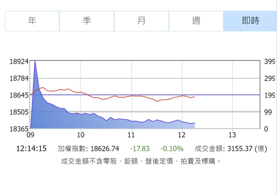 台積電未能持續創高股價熄火，影響大盤漲多拉回。（圖：證交所網站）