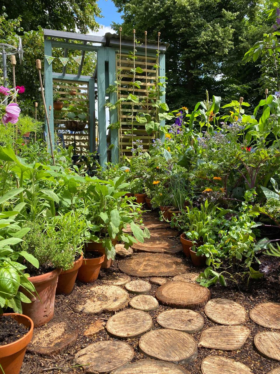 Go for laid-back logs for your veg patch