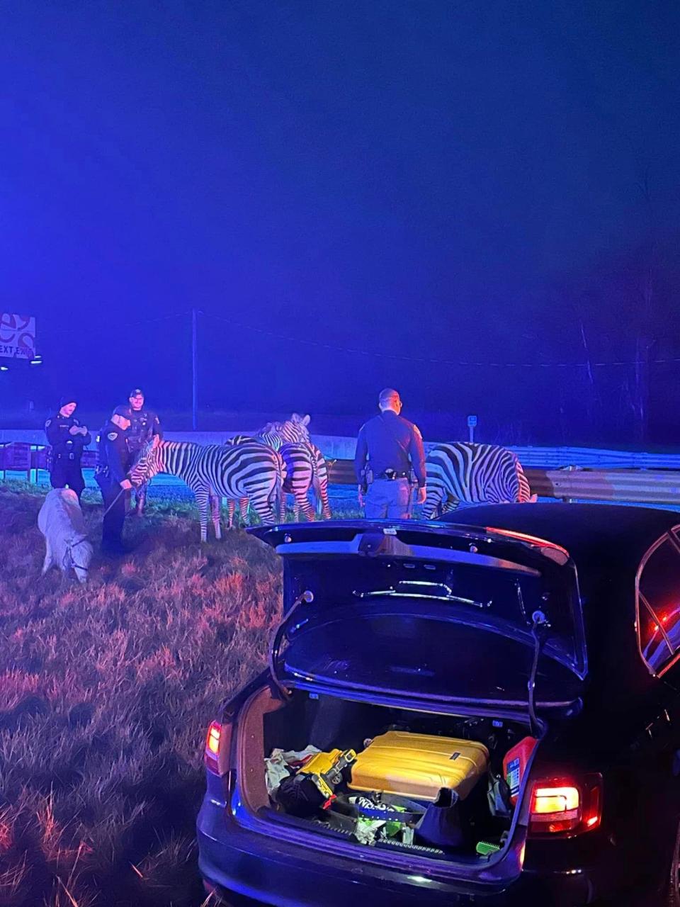 The Grant County (Ind.) Sheriff's Office were among first responders on Interstate 69 near Marion, Indiana, where a semi-trailer carrying animals caught fire.