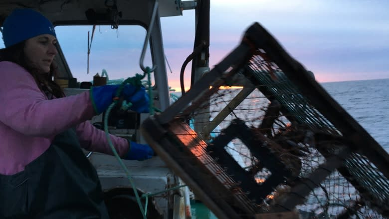 More volunteers needed for lobster logging