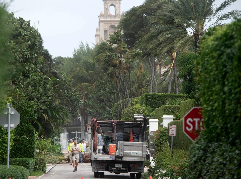 A fallen tree blocks traffic on Flagler Drive just south of The Breakers November 16, 2023 in Palm Beach.