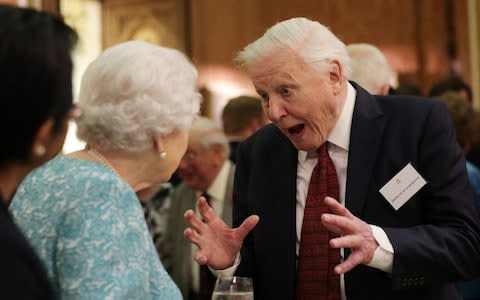 The Queen with Sir David Attenborough during an event at Buckingham Palace for The Commonwealth Canopy  - Credit:  Yui Mok PA 