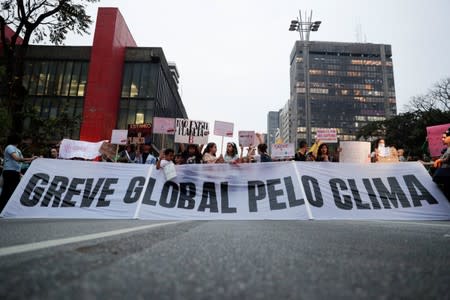 Global Climate Strike in Sao Paulo 