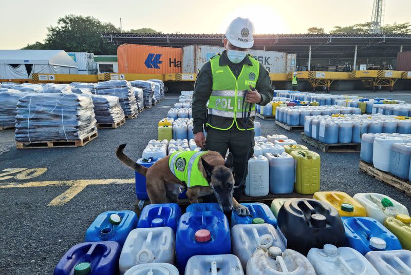 Un perro detector de drogas olfatea barriles que, según las autoridades, contienen cocaína disuelta en fertilizantes químicos y miel, en Cartagena