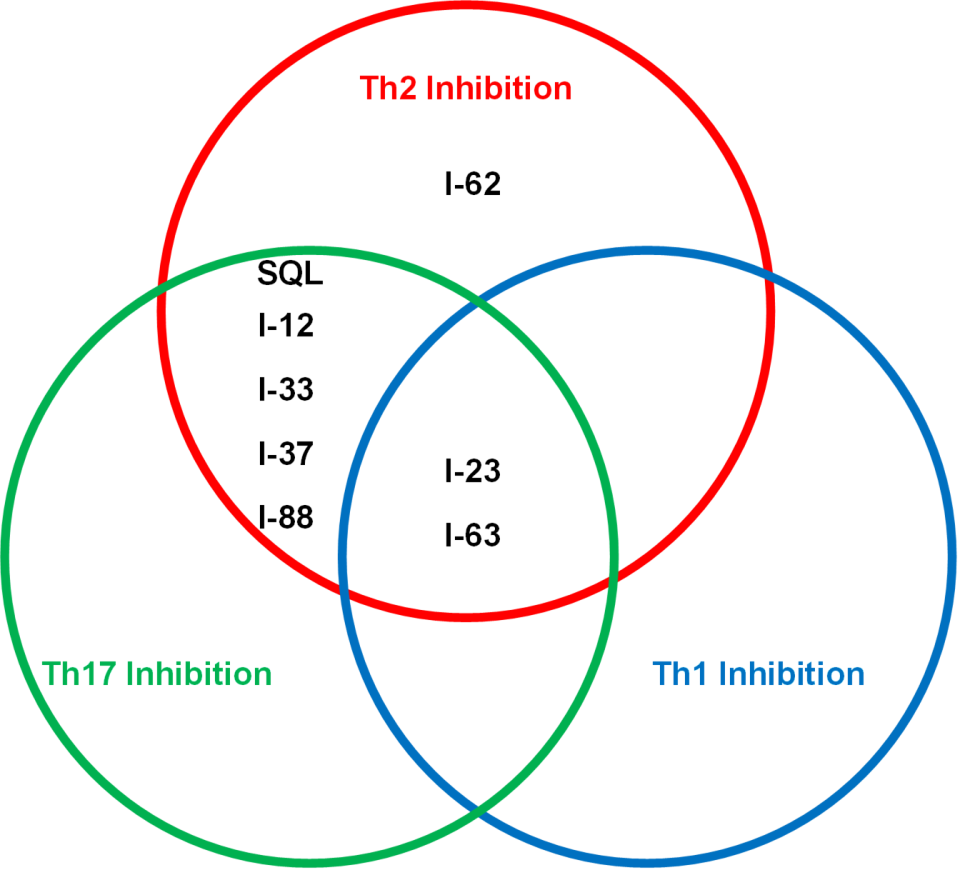 Venn diagram illustrating different biological properties of the next-gen ITK inhibitors in T cell differentiation assays.