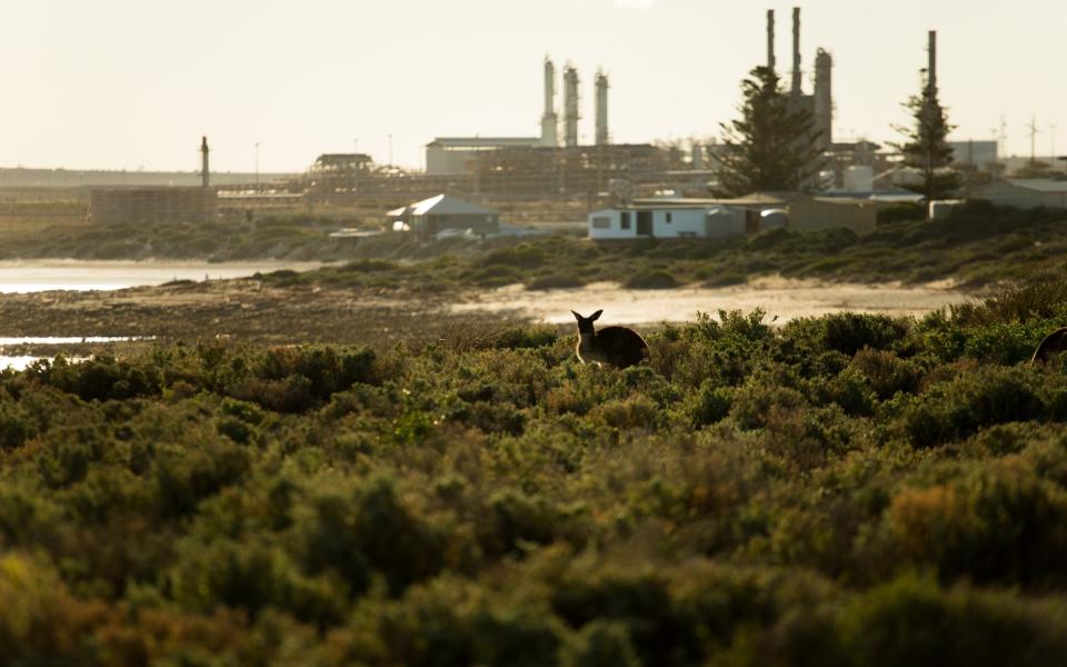 Whyalla's industrial landscape - Phoebe Smith