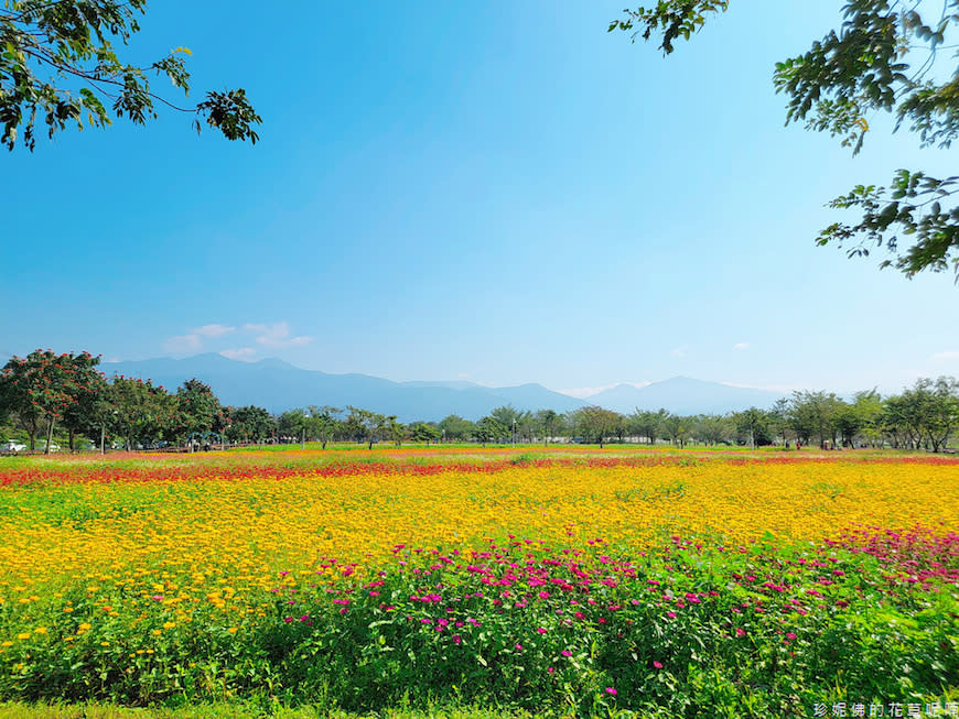 屏東｜新埤鄉綜合休閒公園