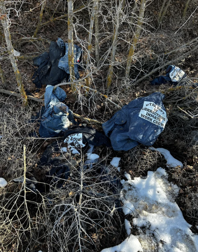 Discarded plastic bags and trash entangled in barren shrubbery with snow patches on ground