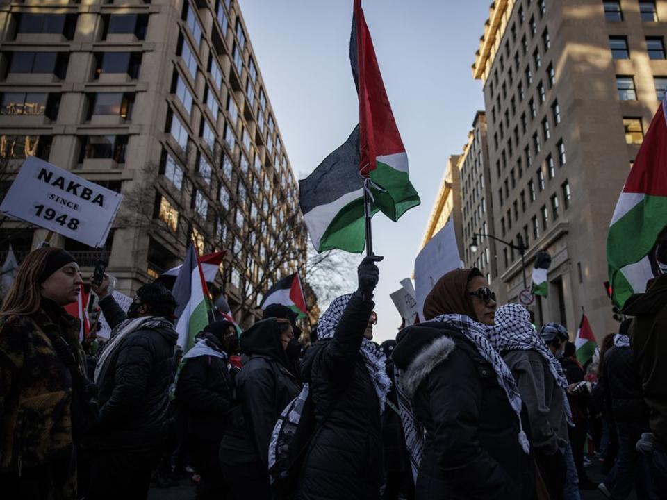 Pro-Palestine Protest Held On The National Mall