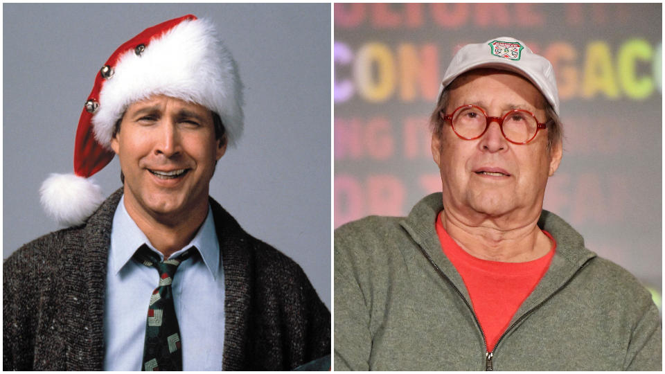 The National Lampoons Christmas Vacation Cast Then And Now 