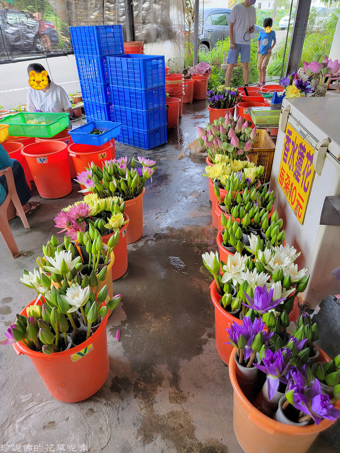 蓮緣香水蓮花園