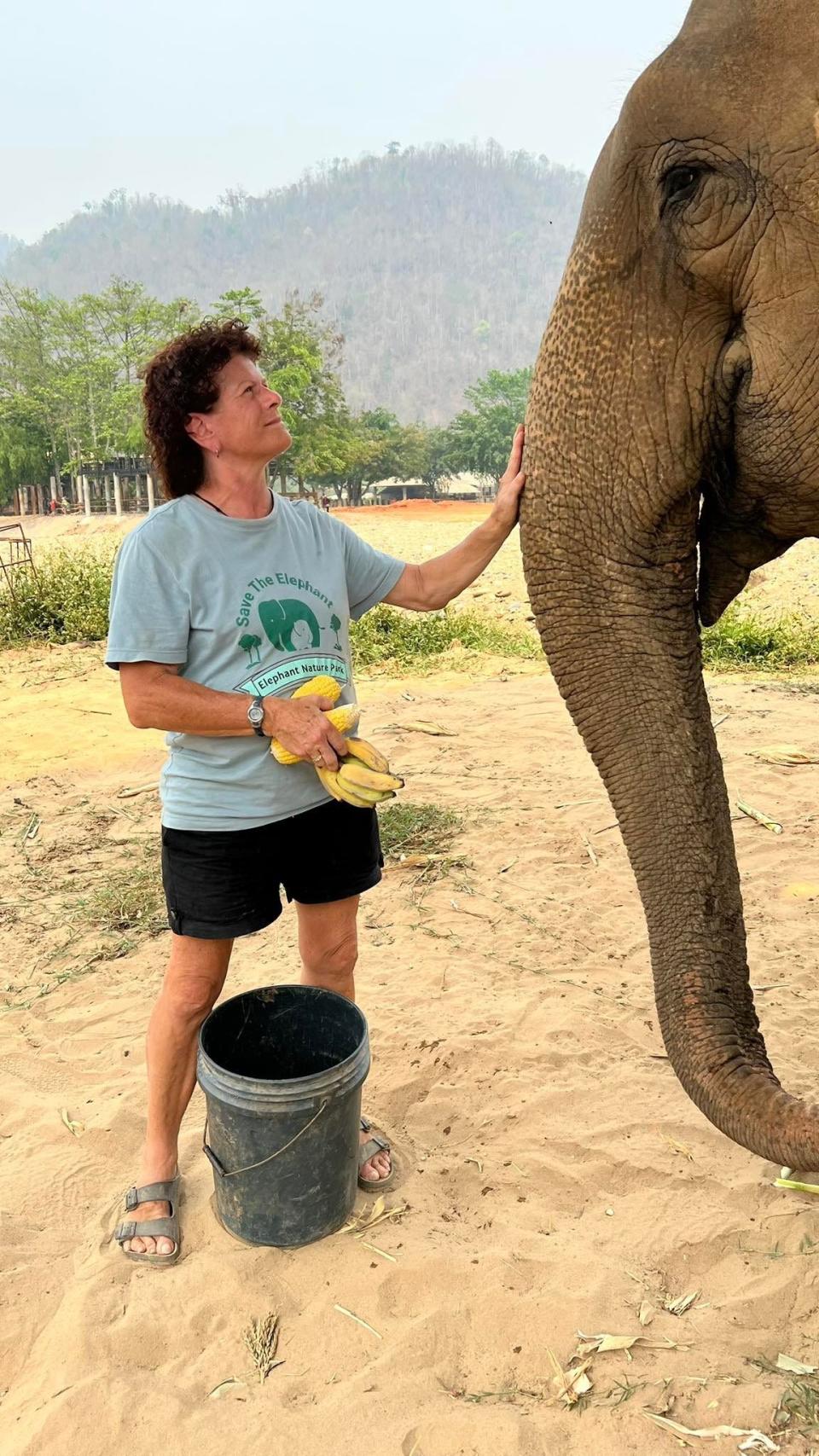 Redding nurse Kathy Snyder feed bananas to "Sri Prae" at the elephant's home at Elephant Nature Park in the north Thailand jungle. Born in 1990, the elephant was forced to work in an illegal logging operation, according to the park.