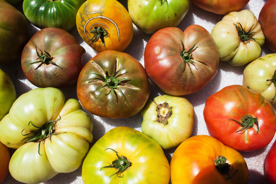 Different colored heirloom tomatoes.