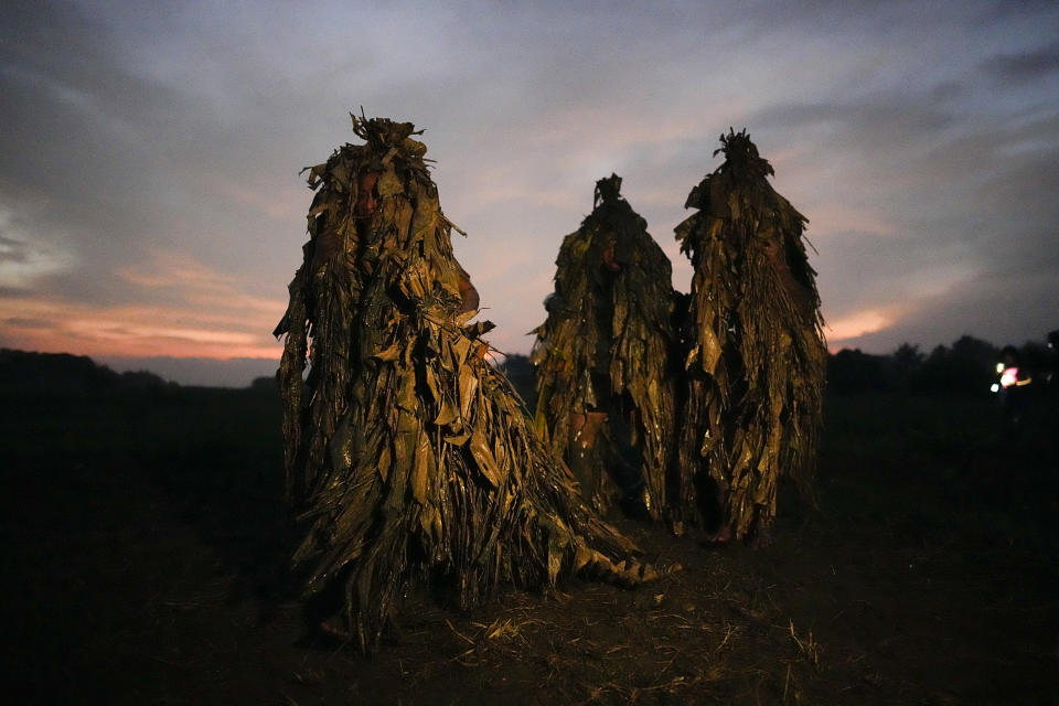 Devout Catholics walk, dressed in dried banana leaves, towards the church of Saint John the Baptist during the mud festival at Bibiclat, Nueva Ecija province, northern Philippines, Monday, June 24, 2024. (AP Photo/Aaron Favila)