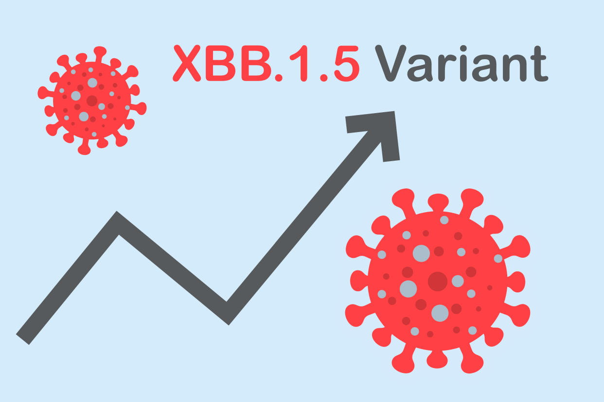 Graphic of arrow trending upward between two coronavirus virons with title: XBB.1.5 variant.