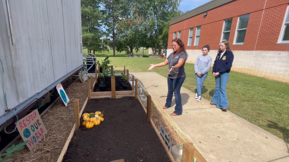 The Top Ten Garden Vegetables and Fruits for Beginners - Platt