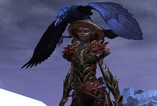 Ranger and bird pet