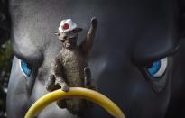 A squirrel appears the ride the nose of a bull on a float during the Calgary Stampede parade in downtown Calgary, Friday, July 8, 2016. THE CANADIAN PRESS/Jeff McIntosh