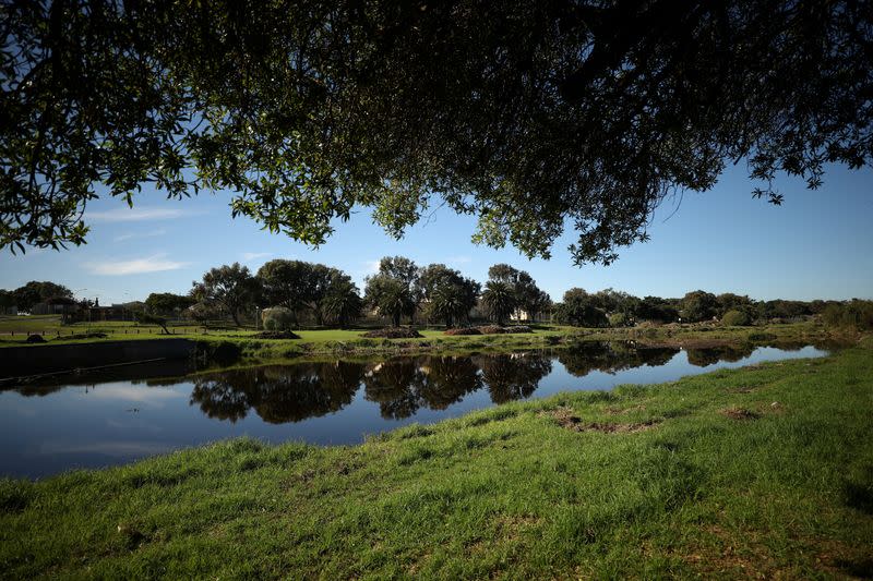 FILE PHOTO: Trees line the banks of the historically significant Liesbeek River in Cape Town