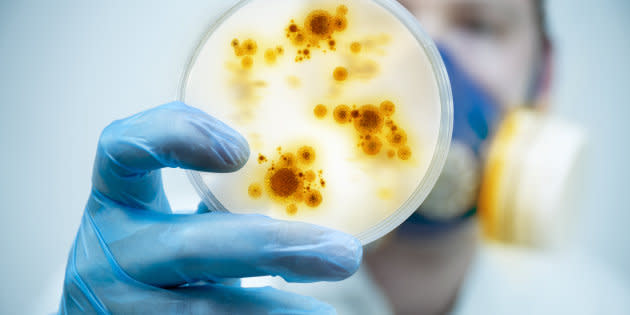 La peligrosa y astuta bacteria que es capaz de infectar los genitales, el recto y la garganta, y que trae de cabeza a expertos en Microbiología. (Foto: Getty)