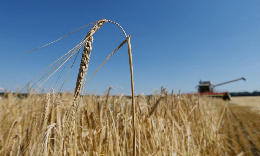 <span>Photograph: Valentyn Ogirenko/Reuters</span>