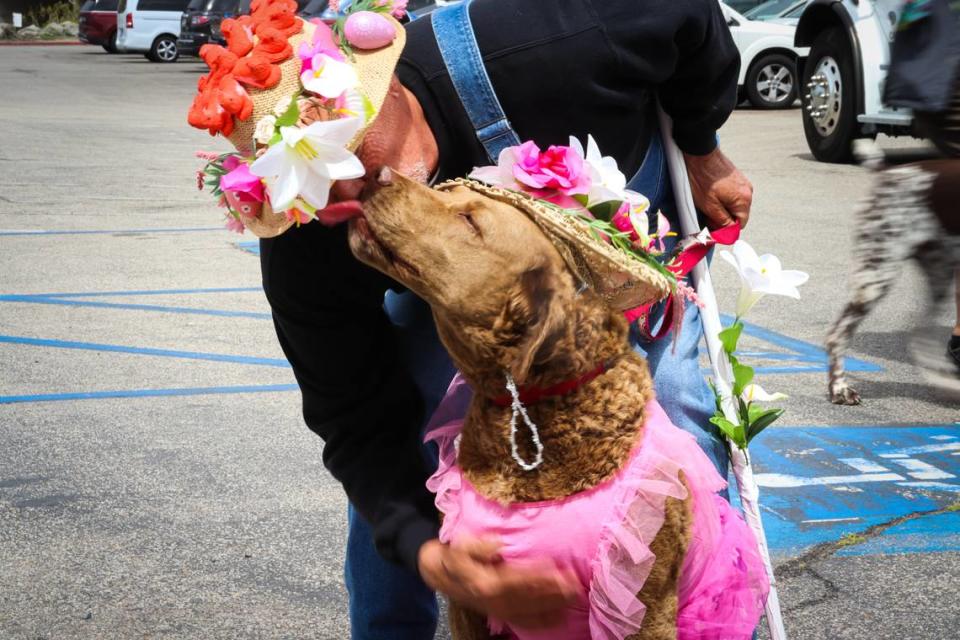 More than 200 dogs and their people turned out for the Cayucos Pup Parade on Saturday, April 16, 2020, decked out in their Easter Sunday best ahead of the holiday. Danna Dykstra-Coy/dannajoyimages.com