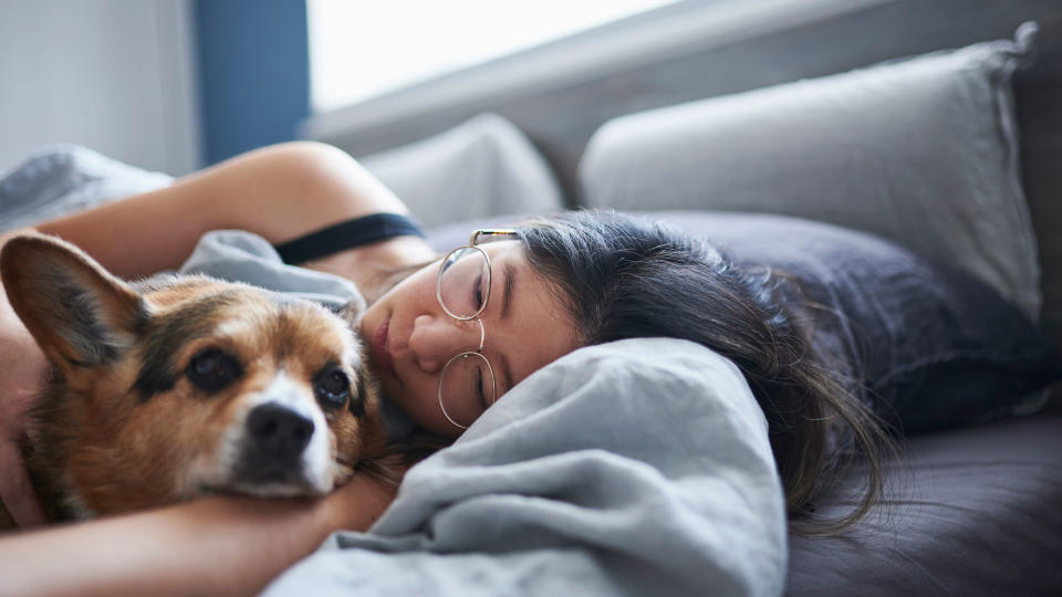 Dog laying with ill human