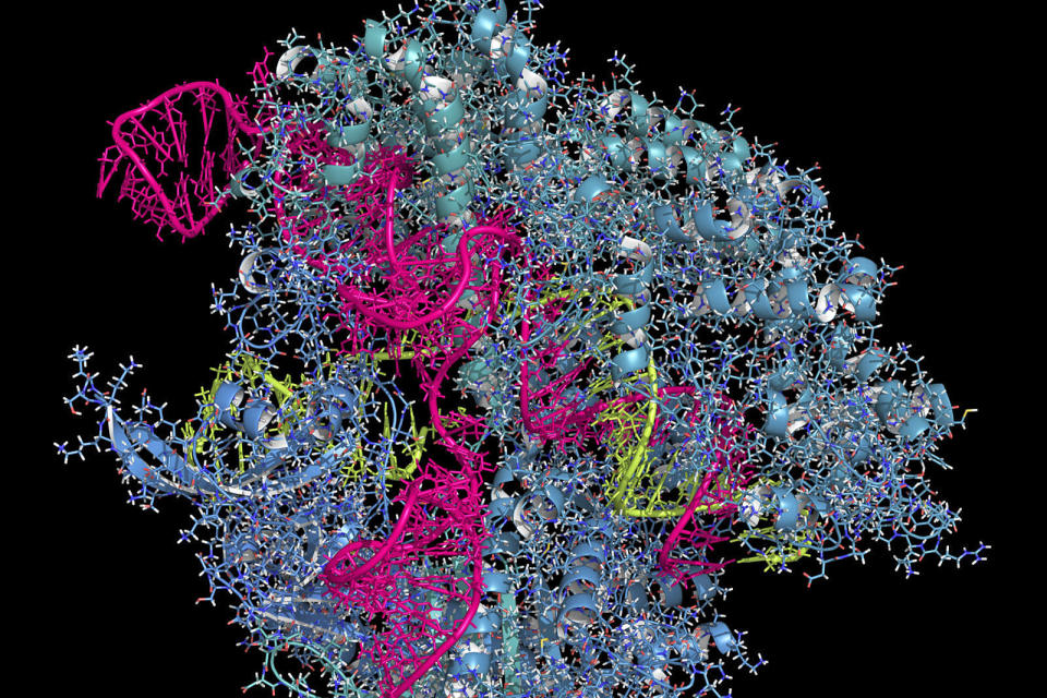 Molekuul via Getty Images