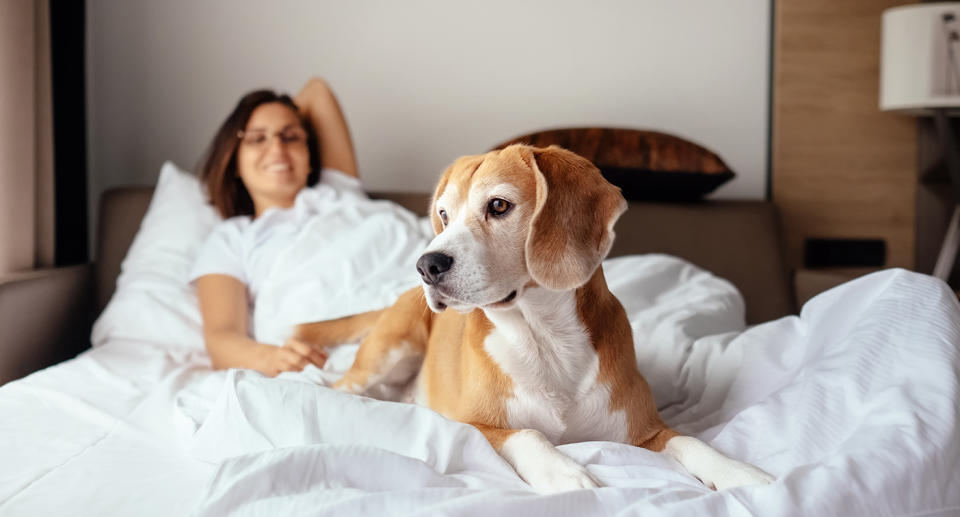 A journalist has sparked a fierce debate after revealing why she had to euthanise her dog. Source: Getty Images