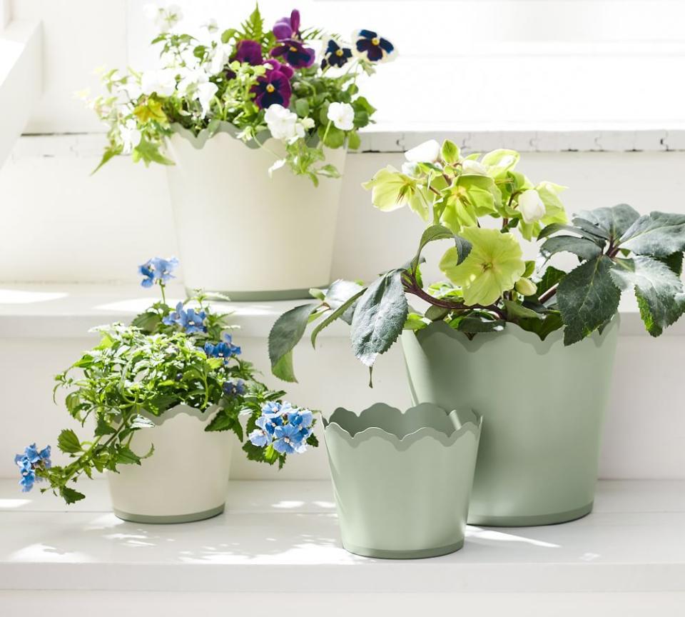 1) Lily Scalloped Metal Tole Planters