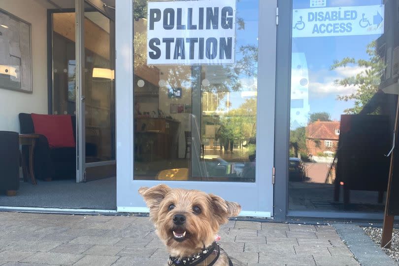 Poppy at Herne Centre