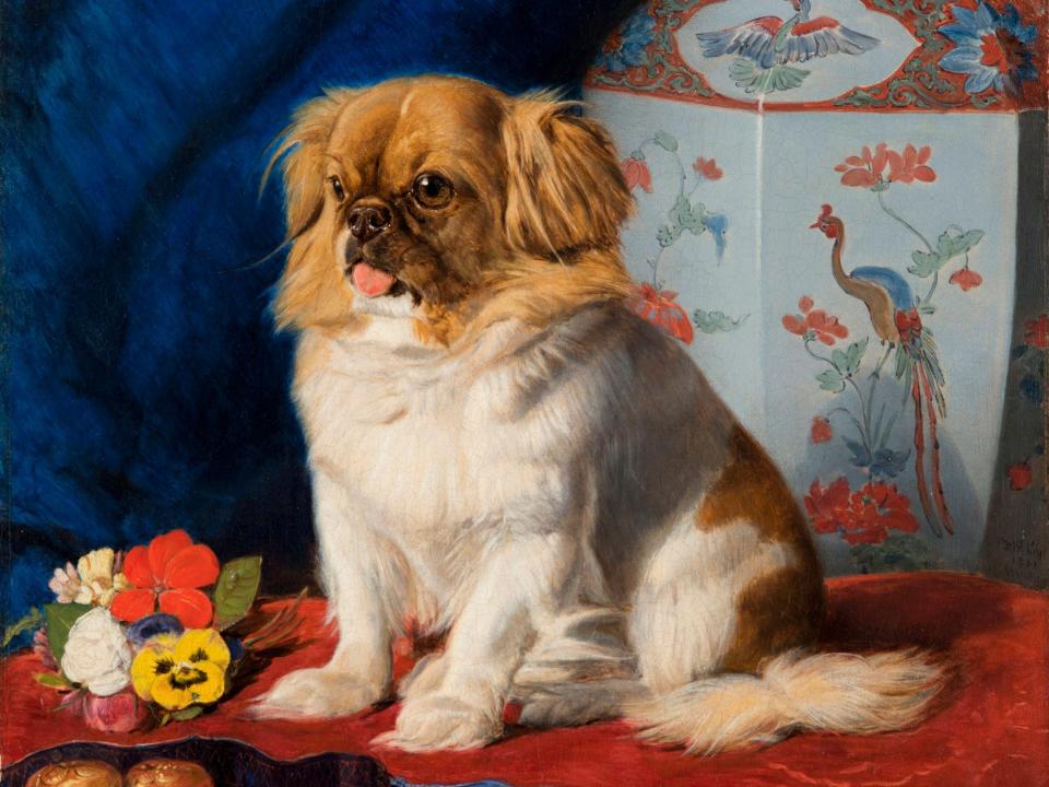 A painting of Looty, a Pekingese puppy.