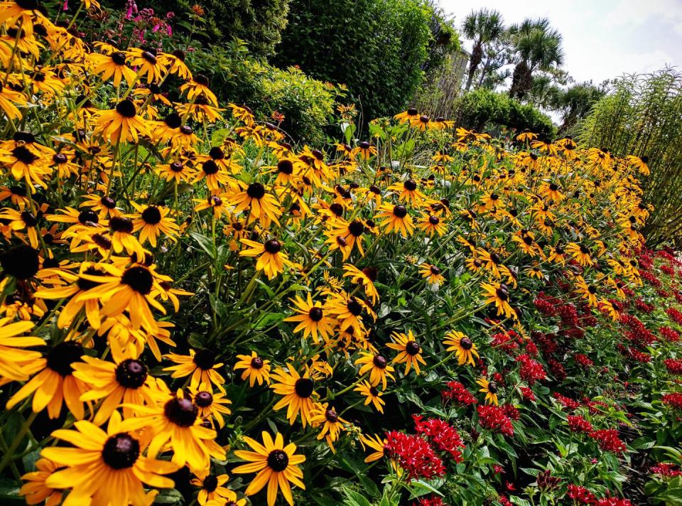 Choose your flowers strategically