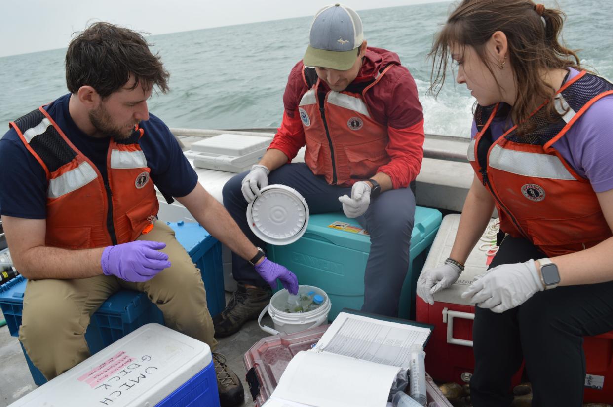 Master’s student Paul Den Uyl as well as Anders Kiledal and Nicole Rappuhn, research scientists at the University of Michigan, look at water samples collected from the Lake Erie harmful algae bloom in September 2023. The samples are stored in lake water to mirror conditions in the lake before they are transported back to the research lab. Uyl, Kiledal and Rappuhn are a part of a research team that are looking to see if potential pharmaceutical drugs could be present in the harmful algae blooms.